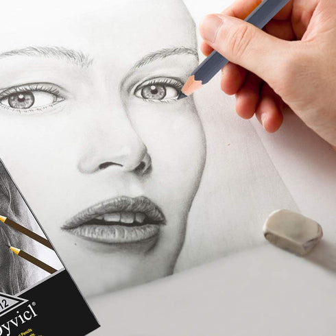 Dyvicl Professional Charcoal Pencils Drawing Set - 12 Pieces Soft, Medium & Hard Charcoal Pencil for Drawing, Sketching, Shading, Artist Pencils f...