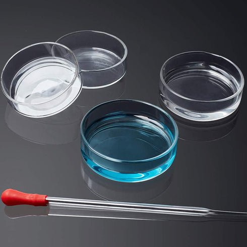 OLYCRAFT 6PCS Glass Petri Dishes High Borosilicate Glass Bacterial Culture Dishes with Lid 60mm Dia x 18mm Deep with 2pcs Glass Culture Plate for ...
