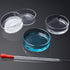 OLYCRAFT 6PCS Glass Petri Dishes High Borosilicate Glass Bacterial Culture Dishes with Lid 60mm Dia x 18mm Deep with 2pcs Glass Culture Plate for ...