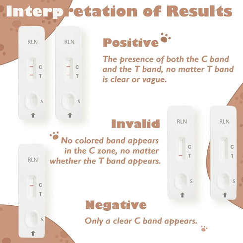 Dog Pregnancy Test Kit at Home, Canine Pregnancy Test Strip for Dog with Buffer Fast and Accurate Detection Pet Clinic Equipment...