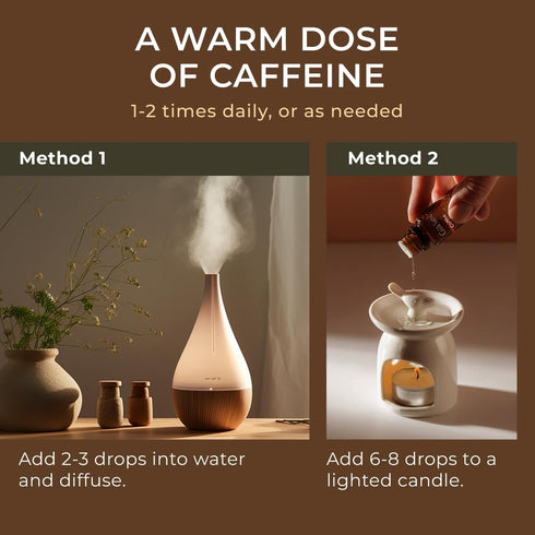 Gya Labs Coffee Essential Oil for Diffusers - 0.34 Fl Oz - 100% Pure Natural Coffee Oil for Hair, Skin, Aromatherapy Fragrance Bath Bombs, Spray &...