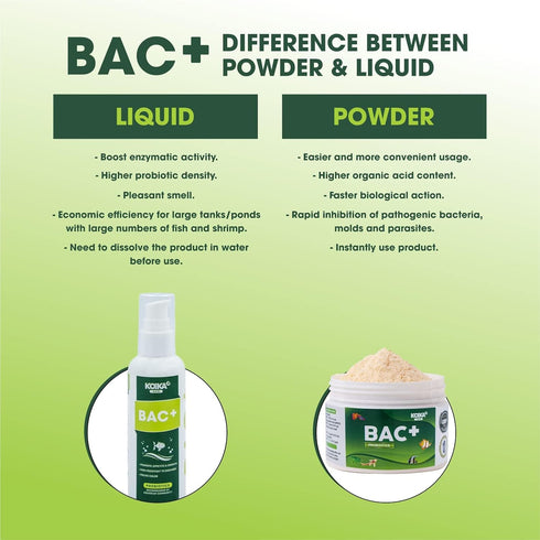 BAC+ Aquarium Probiotics, Pleasant Smell, Disease Resistance, Immunity Boosting (BAC+ (New Formula), 105ml)...