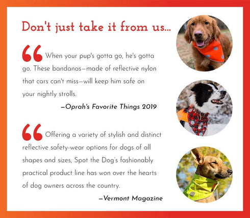 SPOT THE DOG! Reflective Dog Collar - Adjustable Pet Collars, Safe, Durable, Comfortable Dog Walking Accessories for Large Dog, Hunting Dog, Puppy...