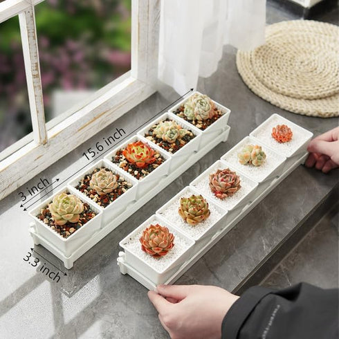 Breathable Succulent Pots with Air-pruning,Succulent Planters Keep Home Tidy & Clean,Plastic 3 Inch Cactus Pots,Set of 1 Windowsill Planter...