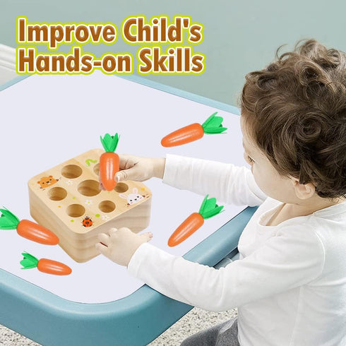 Wooden Toys for 1 2 3 Year Old Baby Boys and Girls, Montessori Toy Carrot Harvest Game Shape & Sorting Matching Puzzle, Educational Developmental ...