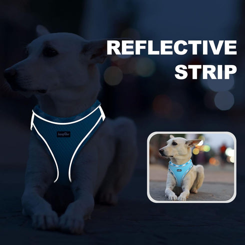 Dog Harness with Leash Set, No Pull Adjustable Reflective Step-in Puppy Harness with Thickened Padded Vest for Extra-Small/Small Medium Dogs...