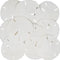 Tumbler Home White Sand Dollars 3"-3.5" - 10pcs - Wedding Seashell Craft Sandollars- Hand Picked and Professionally Packed...