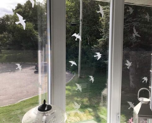 Anti-Collision Window Bird Stickers Decals Glass Door Protect and Save Bird Strikes (Transparent-36 Pcs)...