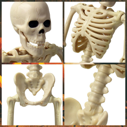 16" Halloween Skeleton Decorative,Spooky Lawn & Haunted House Props with Posable Joints,Full Body Skeleton for Yard Garden Lawn Graveyard Props De...