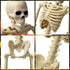 16" Halloween Skeleton Decorative,Spooky Lawn & Haunted House Props with Posable Joints,Full Body Skeleton for Yard Garden Lawn Graveyard Props De...
