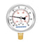 MEASUREMAN 2-1/2" Dial Size, Glycerin Filled Pressure Gauge, 30inHG-60psi, 304 Stainless Steel Case, 1/4"NPT Lower Mount...