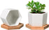 T4U Small White Succulent Planter Pots with Bamboo Tray Hexagon Set of 2, Geometric Ceramic Cactus Plant Holder, Succulent Plant Gifts for Gardene...