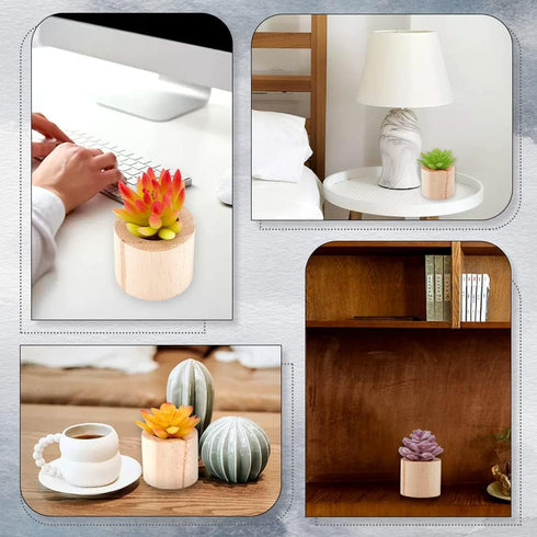AHANDMAKER 6 Pcs Air Plants Holders, Wood Airplant Holder, Rustic Style Air Plant Container Tillandsia Holder, Air Plant Pots for Displaying Small...