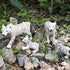 Gemini&Genius White Tiger Family Set Realistic Animal Figurines with Cub, Safari Animals Family Playset Figures, Educational Wildlife World Models...