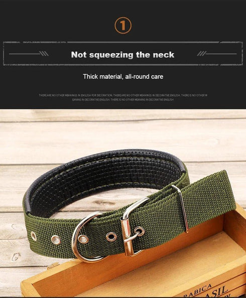 4Pets Heavy Duty Dog Collar for Medium to Large Dogs (2.5CM - Medium)...