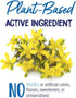 Boiron Hypericum Perforatum 30C, 80 Pellets, Homeopathic Medicine for Nerve Pain...
