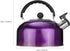Tea Kettle for Stove Top: Purple Whistling Teapot 3Quart Stainless Steel Teapot Heating Water Container with Handle for Home Gas Stovetop...
