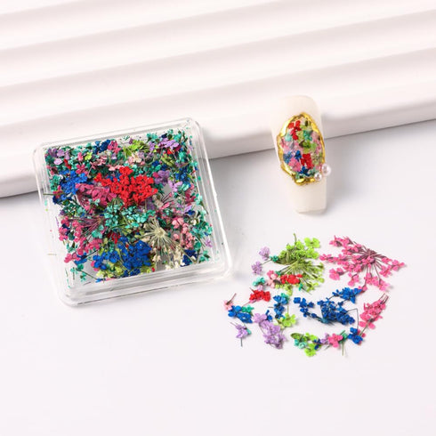 2 Box Dried Flowers Nail Art Stickers Natural Dried Flower Nail Decals 3D Colorful Dry Flowers Design Nail Art Supplies Mini Dried Floral Nail Sti...