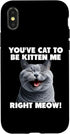 iPhone X/XS You've Cat to Be Kitten Me Right Meow Funny Lines Case...