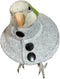 Adjustable Recovery Bird Cone Collar, Elizabeth Protective Collar, Safe and Practical Neck Sleeve for Preventing Bite and Licking Wound Healing wi...