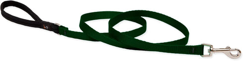 LupinePet Basics 1/2" Green 4-foot Padded Handle Leash for Small Pets...
