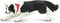 Safari Ltd. Border Collie Figurine - Detailed 5" Plastic Model Figure - Fun Educational Play Toy for Boys, Girls & Kids Ages 3+...