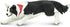 Safari Ltd. Border Collie Figurine - Detailed 5" Plastic Model Figure - Fun Educational Play Toy for Boys, Girls & Kids Ages 3+...