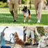 3FT Slip Lead Dog Training Leash, No Pull Dog Leash for Medium Large Dogs, 1/2 Inch Durability Nylon Rope Slip Leash...