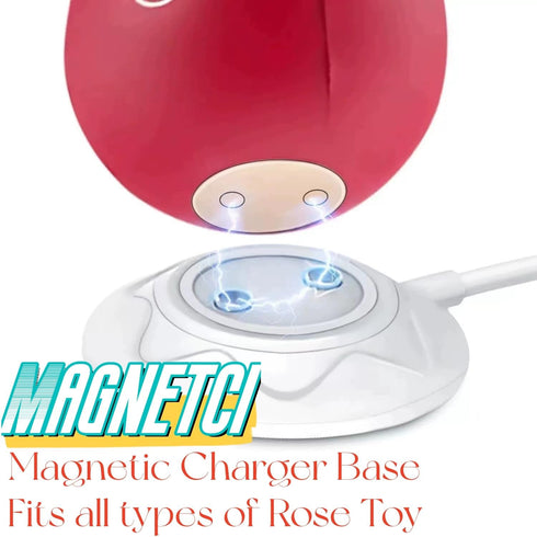Replacement Rose Toy Charger, 2 Prong Magnetic Charger USB Cable, Replacement Base Dock Station for Rose Toy, 31.5Inch Long Adult Toy Replacement ...