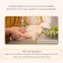 JiguMom Natural Big Soap Bar Dishwashing (8.82oz *3 set) Eco Friendly Plastic Free Packaging with Sustainable Organic Ingredients for Kitchen...