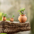 Miniature Tiny Clay Pots Pottery Planter Mini Flower Terra Cotta Pots for DIY Garden Plants and Office/Desktop/Windowsill Decoration,8 Pcs...