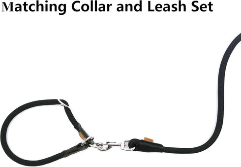 Dog Leash, Braided Rope Traction – Walking Training Lead for Medium/Large Dogs ((1/2") - 2FT, Black)...