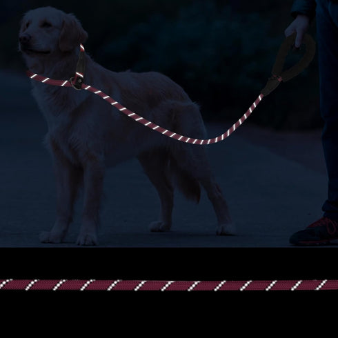 Slip Lead 6 FT for Medium and Large Dogs,Puppy Dog Training Leash Heavy Duty,No Pull Reflective Nylon Dog Leash,Rope Training Leash for Dogs That ...