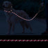 Slip Lead 6 FT for Medium and Large Dogs,Puppy Dog Training Leash Heavy Duty,No Pull Reflective Nylon Dog Leash,Rope Training Leash for Dogs That ...