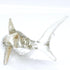 Shark Miniature Tiny Figurines Animals Hand Painted Blown Glass Art Sea Collectible Gift Decorate (Clear Silver)...
