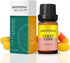 Candy Corn Fragrance Oil, Premium Grade Scented Oil for Aroma Diffusers, Perfume, Candle and Soap Making - 10ml...
