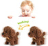 WEofferwhatYOUwant Plush Electronic Labradoodle Dog - Adorable Goldendoodle Teddy Bear Puppy- Walks, Barks, and Cuddles. Ages 18+ months...