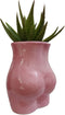 Cute 4.69 inch Body Shaped Ceramic Succulent Cactus Air Plant Body Art Modern Flower Pots Planter - Plant Not Included (Rose Pink)...