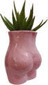 Cute 4.69 inch Body Shaped Ceramic Succulent Cactus Air Plant Body Art Modern Flower Pots Planter - Plant Not Included (Rose Pink)...