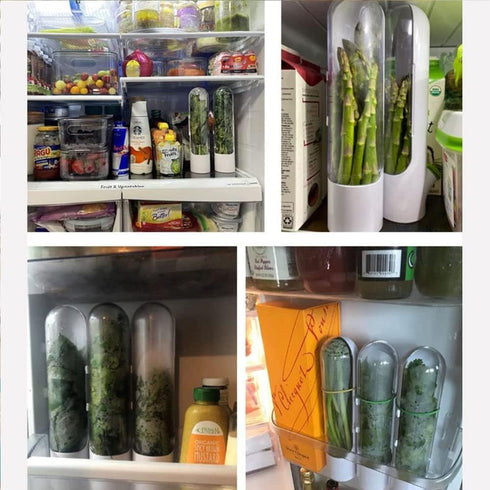 Herb Saver for Refrigerator, Herb Saver Pod, Vegetable Preservation Bottle, Fresh Herb Keeper for Cilantro, Mint, Parsley, Asparagus, Keeps Greens...