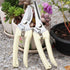 BUGUI Garden Pruning Shears Set - 2 Pack, 1 Bypass Pruner+1 Straight Blade Scissors, Sharp Garden Shears for Cutting Flowers, Trimming Plants, Bon...