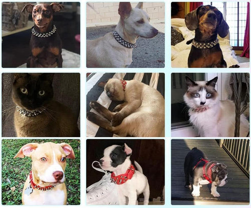 Spiked Studded Dog Collar, Adjustable Soft Leather Puppy Collar for Small Medium Dogs Bulldog Pitbull Mastiff Poodle Boxer (XS, Black-2)...