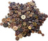 600 Pcs Resin Sewing Buttons Brown Button Assorted Sizes Assortment Buttons Brown Round Craft Mixed Brown Buttons for Sewing DIY Crafts Manual But...