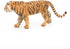 Papo -hand-painted - figurine -Wild animal kingdom - Tiger -50004 -Collectible - for Children - Suitable for Boys and Girls- from 3 years old...