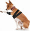 Dog Knee Brace for Support Cruciate Ligament Injury, Joint Pain And Muscle Sore, Dog Leg Brace for ACL Support, Reduces Pain and Inflammation, Adj...