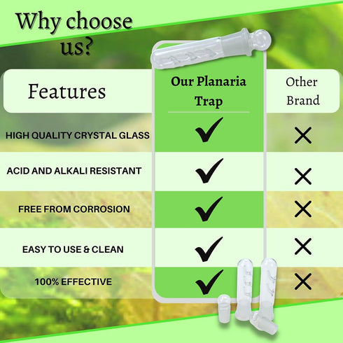 Planaria Trap Crystal Red Shrimp Tank Aquarium Bristle Worm Catcher, Shrimp Dwarf Shrimp Ghost Shrimp Live Freshwater Cleaning Supplies Clear Glas...