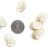 Metal Base Fried Egg Shape White Sewing Shank Buttons 20 Pcs - 23mm, 7/8"...