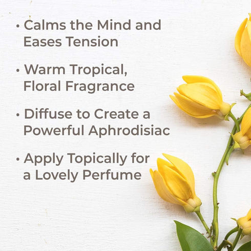 Plant Therapy Ylang Ylang Extra Essential Oil 10 mL (1/3 oz) 100% Pure, Undiluted, Therapeutic Grade...
