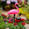 Waterproof Solar Flamingo Garden Light, Durable Blow Molded Yellow Beak and red Body Flamingo Shape, Bird feet and Ground Plug Removable...