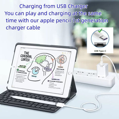 for Apple Pencil Charger,USB C to Apple Pencil Adapter 1FT, 30 Mins Full Charge for Apple Pen First Gen Charging Cable Compatible with Apple Penci...